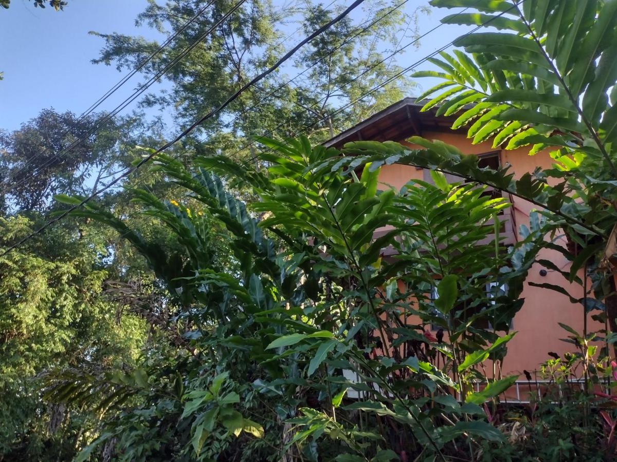 Flat Prumirim Ubatuba Eksteriør bilde